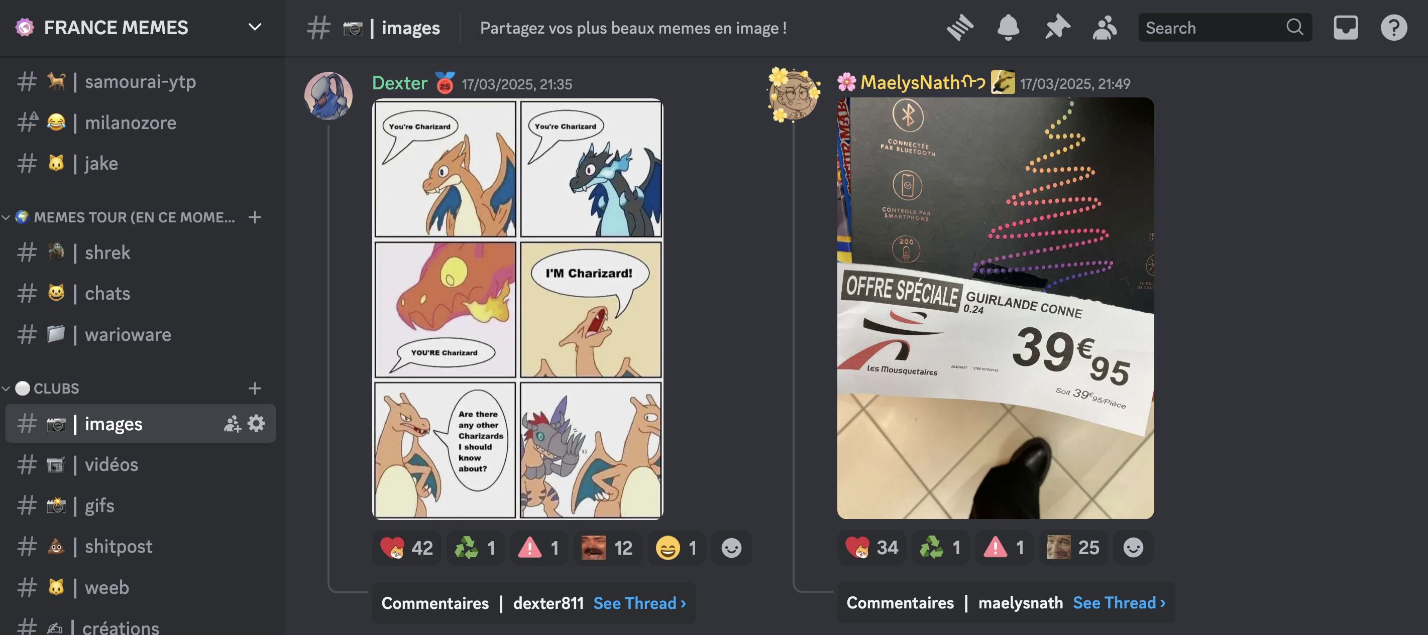 Exemple de posts de memes sur le serveur FRANCE MEMES